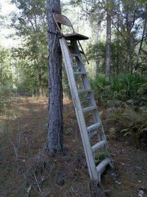 archery ladder tree stands