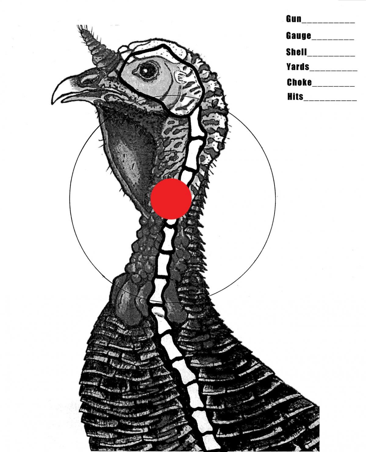 Free Printable Turkey Targets