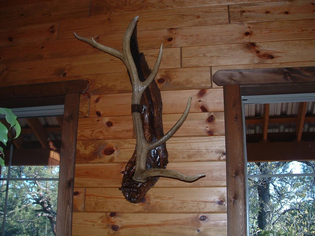 how do you display your sheds - Shed Hunting 