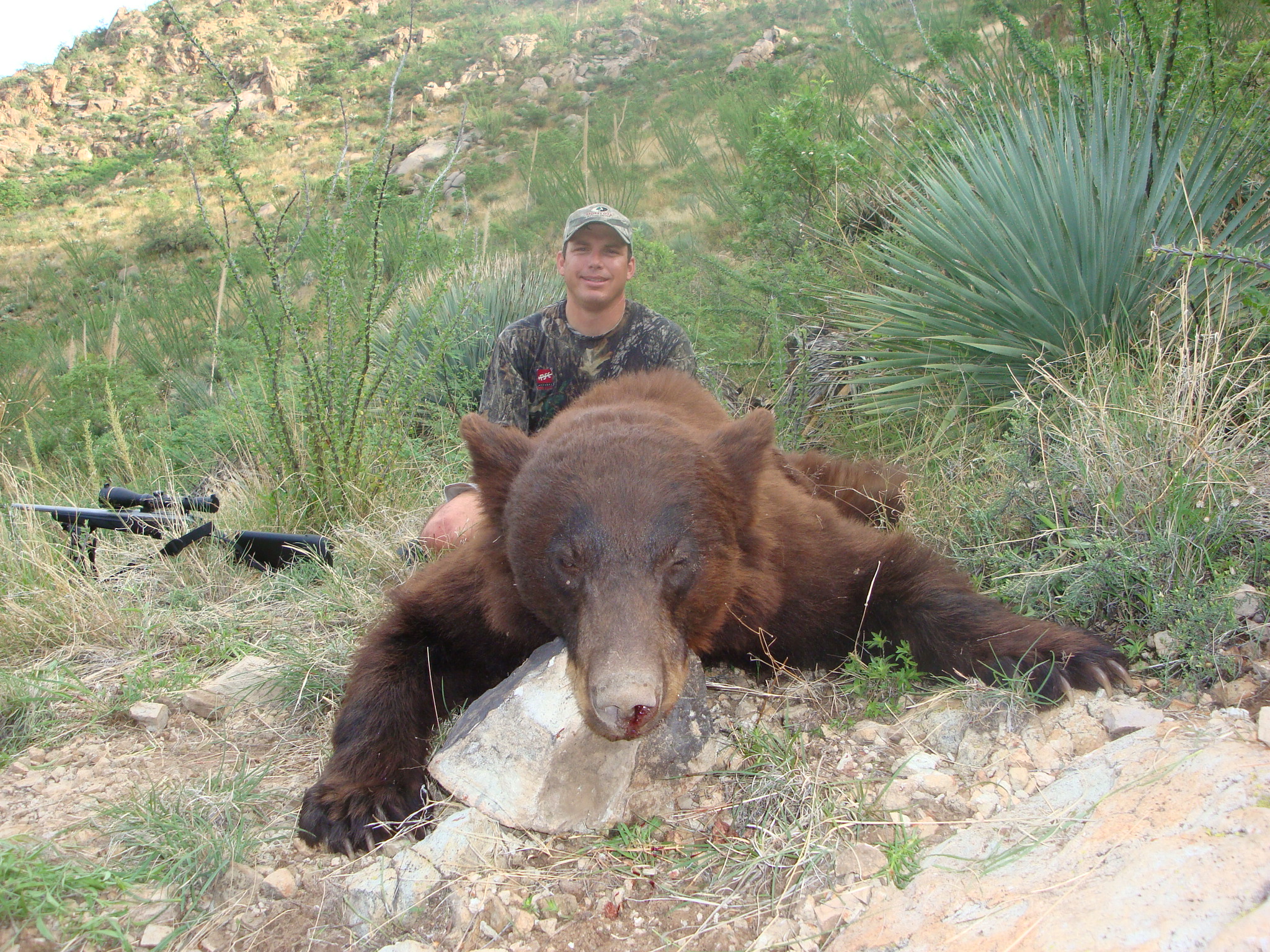 AZ Bears Black Bear or Grizzly Bear hunts