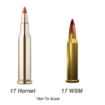 Anyone Done Any Research On .17 Hornet??? - Rifles, Reloading and ...