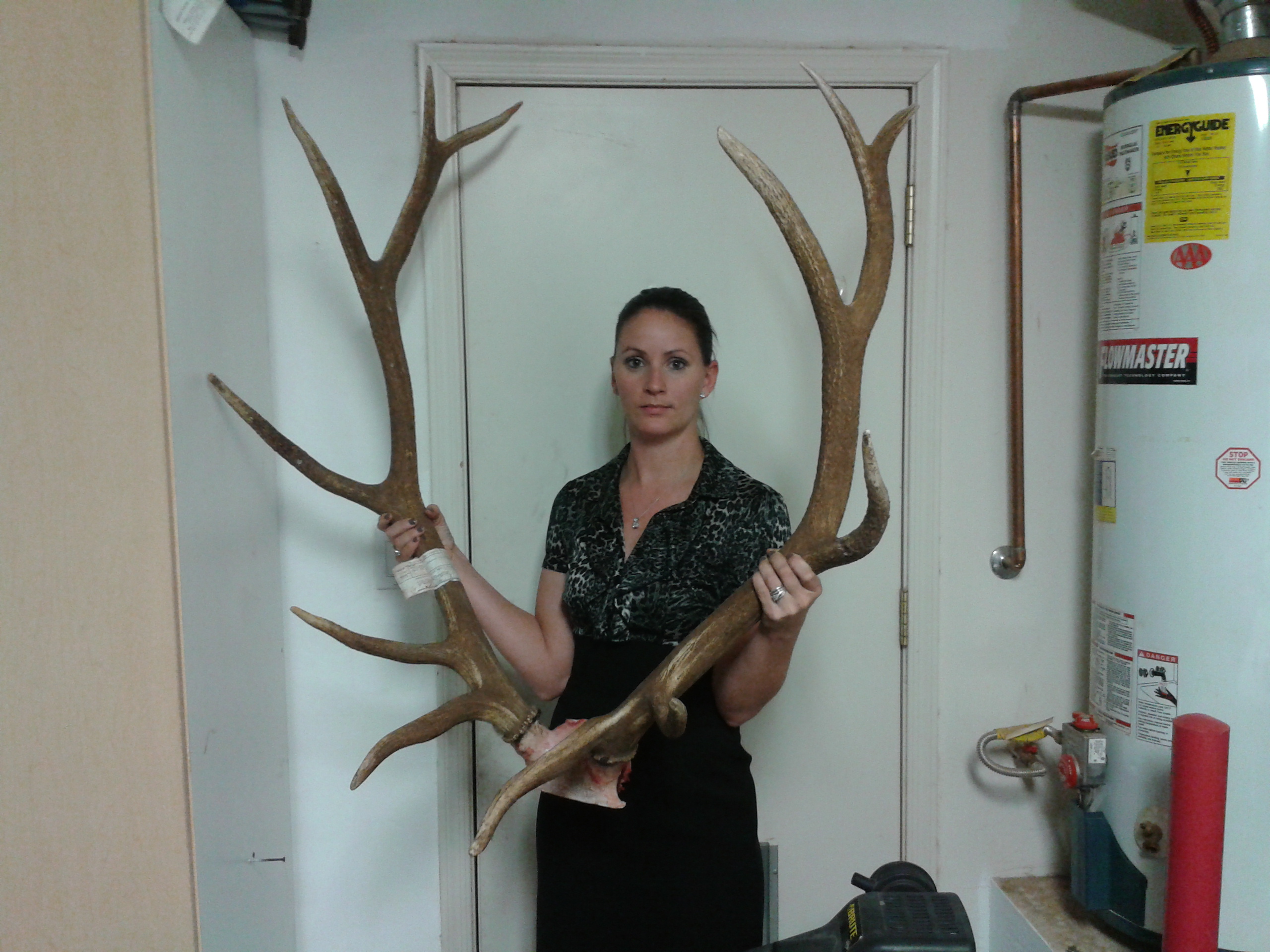 My Wifes 6A Bull Elk - Elk Hunting - CouesWhitetail.com Discussion forum