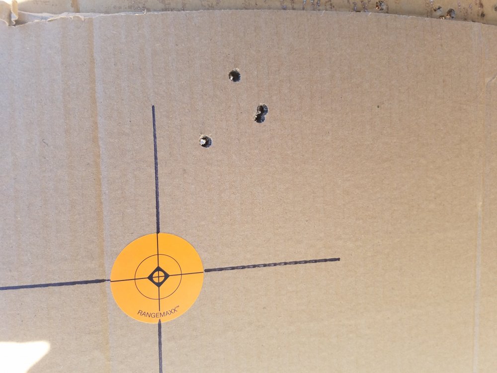 28 nosler target.jpg