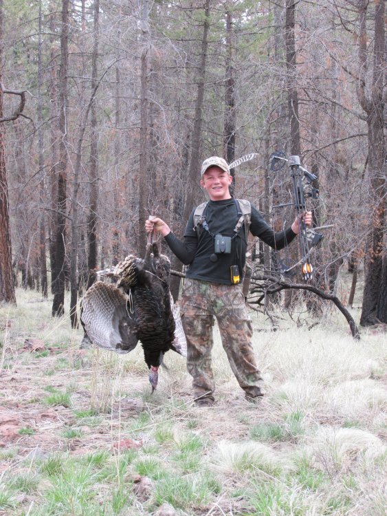 1856029295_13turkeyhunt993.thumb.JPG.72ff9b481880673f5190a5f0a0f2c2d8.JPG