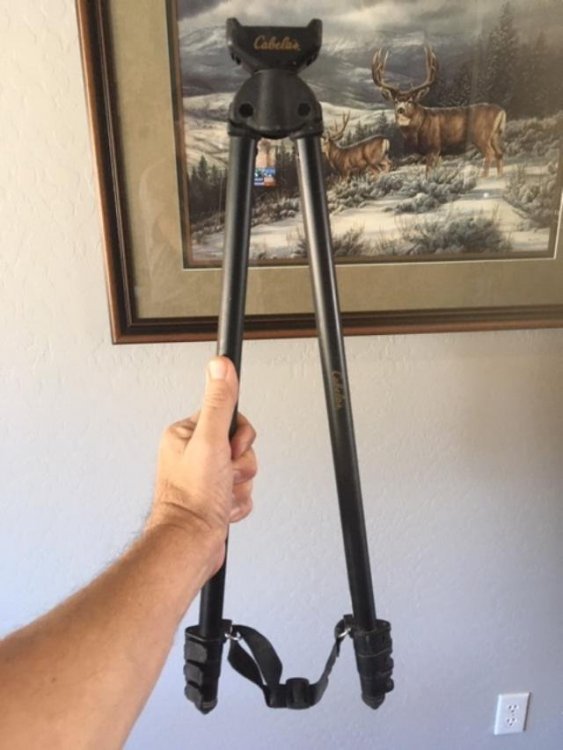 Cabelas bipod.jpg