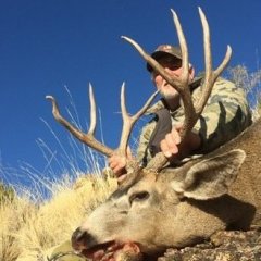 Forums - CouesWhitetail.com Discussion forum