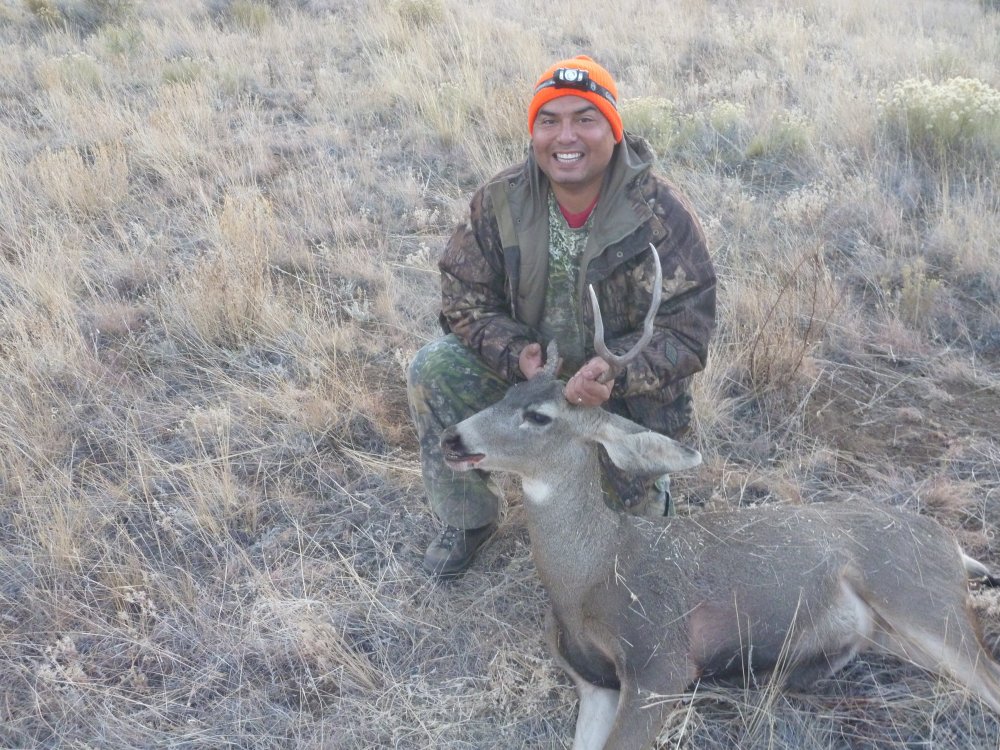 2019 Mule Deer three.JPG