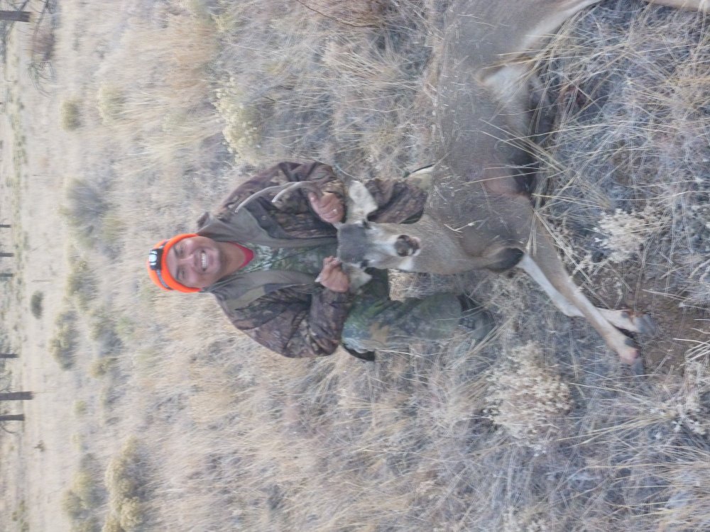 2019 Mule Deer one.JPG