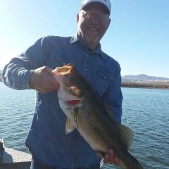 San Carlos Reservation Fishing Tanks - Fishing - CouesWhitetail