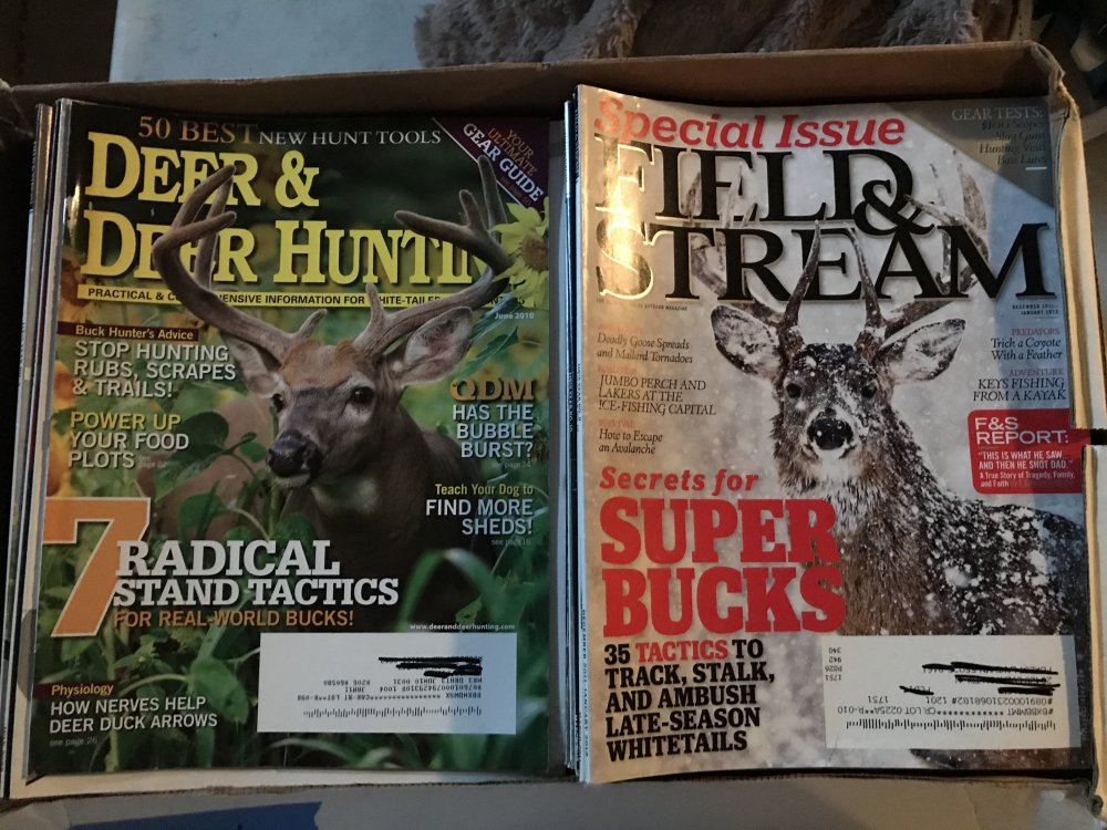 Hunting mags.jpg