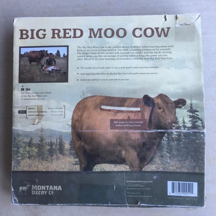 big red moo cow 2.jpg