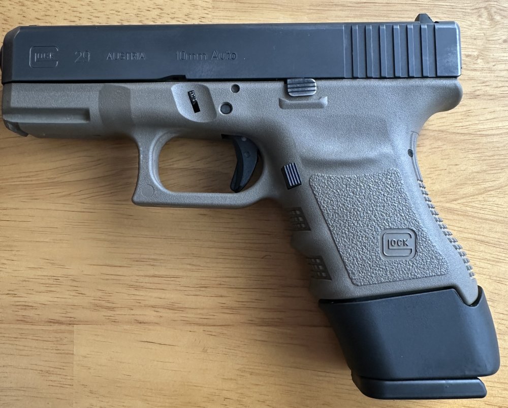 GLOCK 29SF 10MM (8).JPG