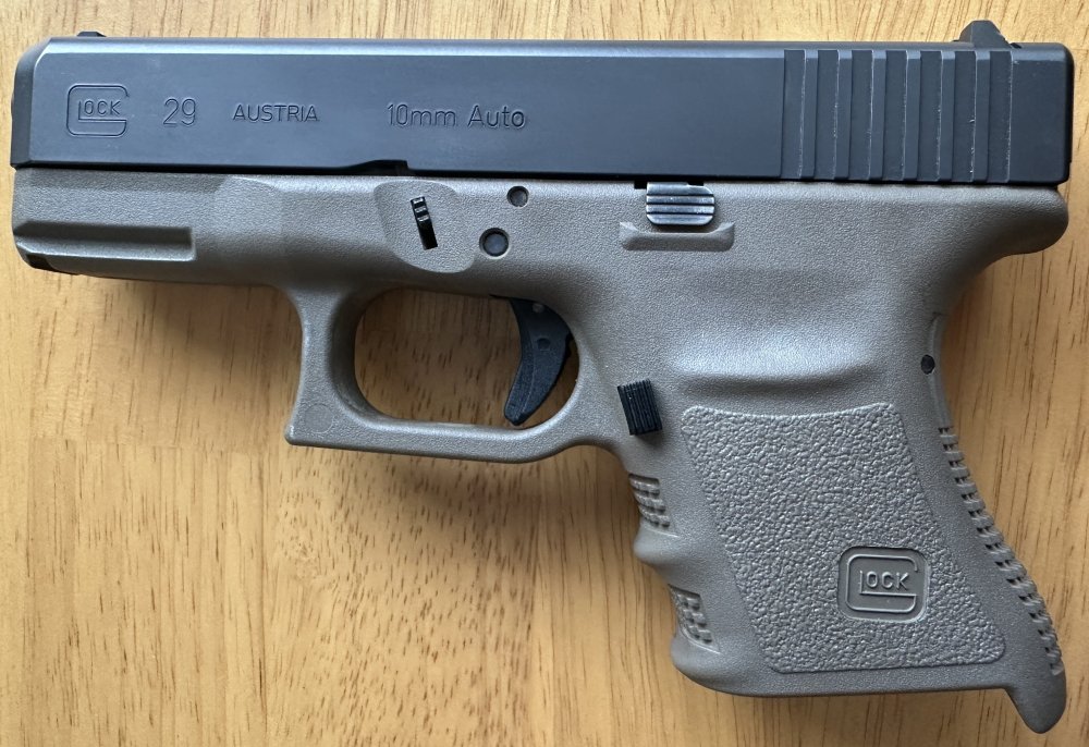 GLOCK 29SF 10MM (3).JPG