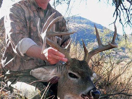 Mexico Coues Deer Adventure