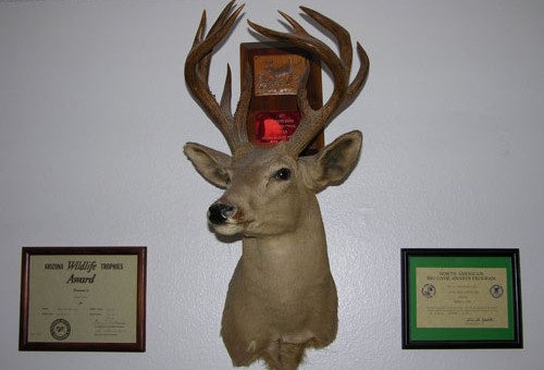 My Father’s Trophy