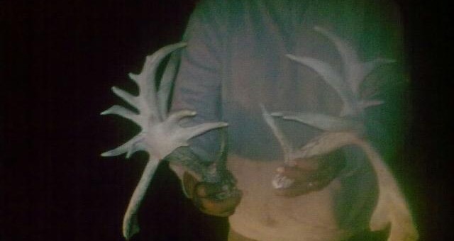 Waylon Zagotah 180 inch sheds!