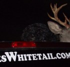 nice buck on jeep