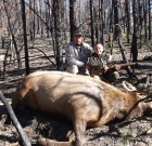 sams 2012 cow elk