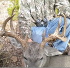 2012-13 Coues Buck Contest
