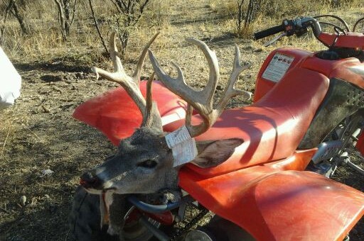 2012 patagonia Coues Whitetail buck