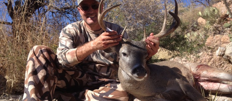 First Coues