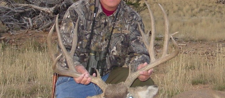 Colorado Mule Deer