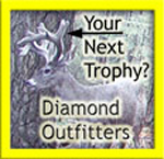 AZ Diamond Outfitters