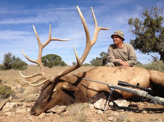 arizona rifle bull elk
