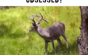 Would this buck make you OBSESSED?