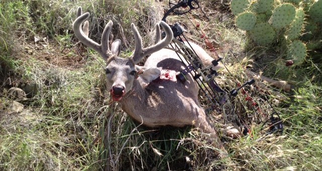 First Coues Buck with a bow, spot and stalk