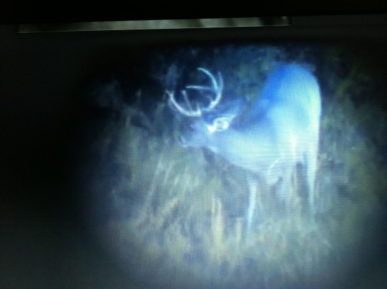 A buck I passed up during the October hunt... what do you think he scores?