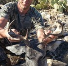 First coues