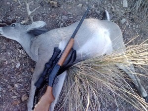 deer&rifle
