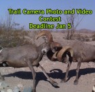 4th Annual Trail Camera Photo and Video Contest