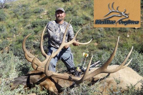 arizona archery bull elk