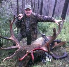 Awesome Elk!
