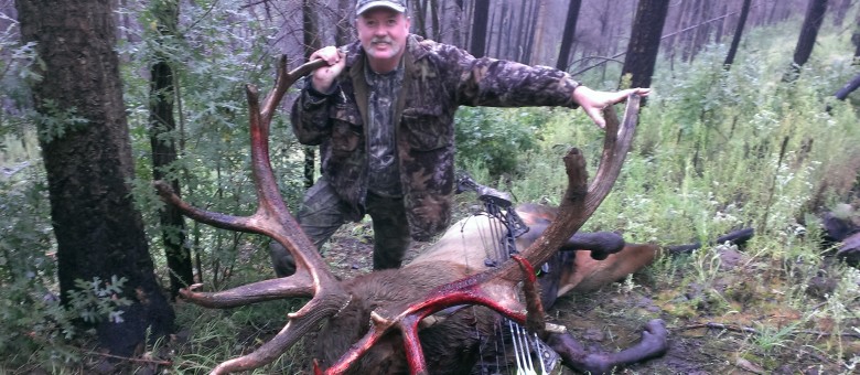 Awesome Elk!