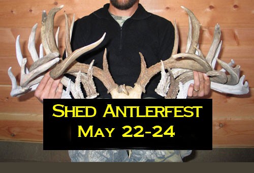 Shed Antlerfest 2015