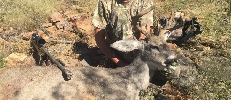 100+ coues